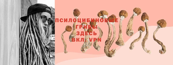 мет Белокуриха