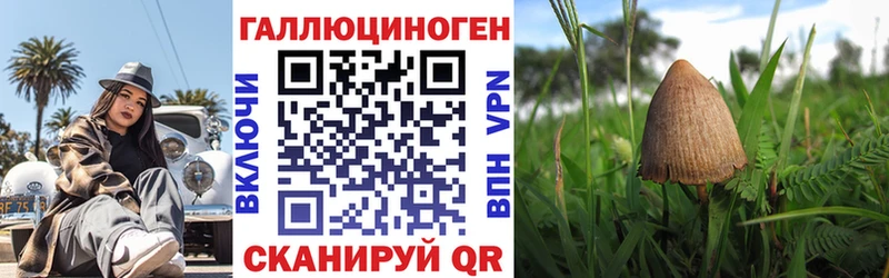 Псилоцибиновые грибы Psilocybe  наркота  нарко площадка Telegram  Купино 